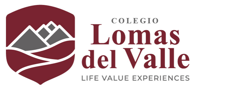 Colegio Lomas del Valle — Life Value Experiences